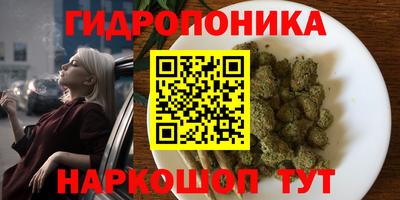 jwh Гай