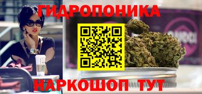 крисы Гусиноозёрск